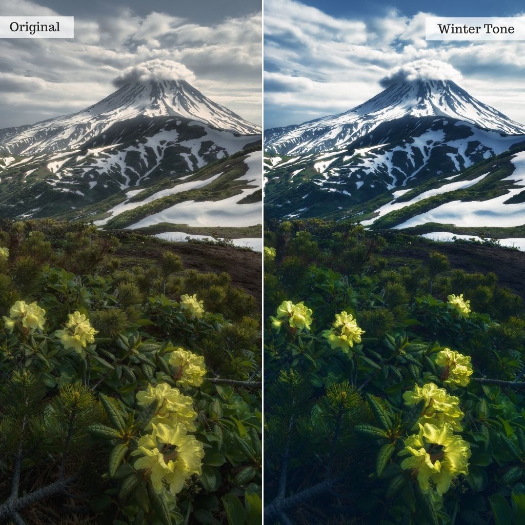 Cinematic Film LUTs & Lightroom Profiles – Desktop & Mobile