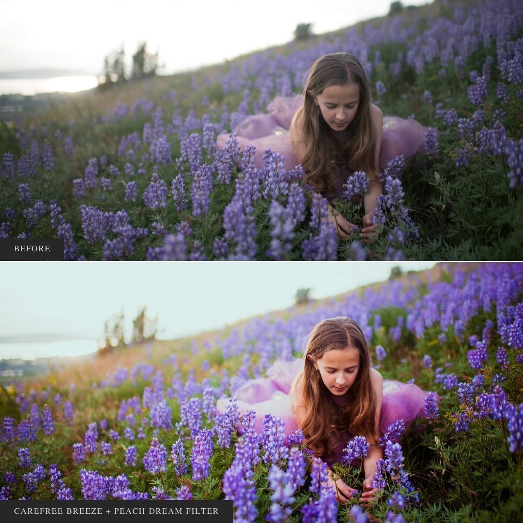 ColorMade Lightroom Preset Bundle (13 collections)