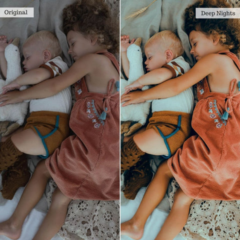 2026 Everything, Entire Store Lightroom Preset Bundle (89 Collections!)