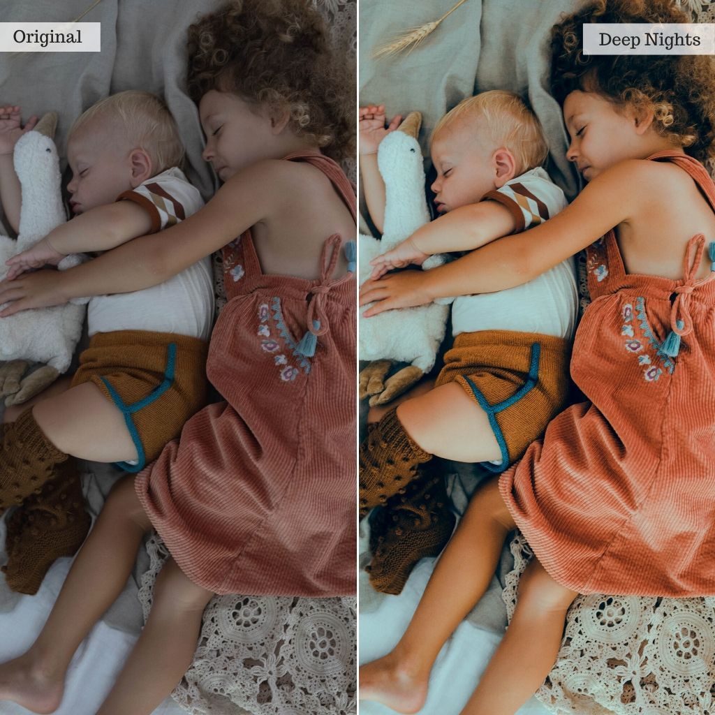 2025 Everything, Entire Store Lightroom Preset Bundle (98 Collections!)