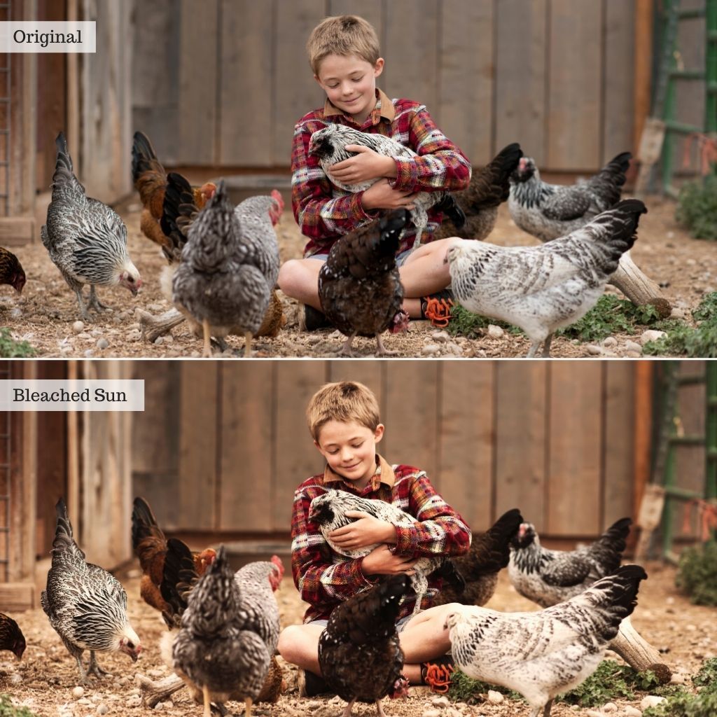 Earthstone Film LUTs & Lightroom Profiles – Desktop & Mobile