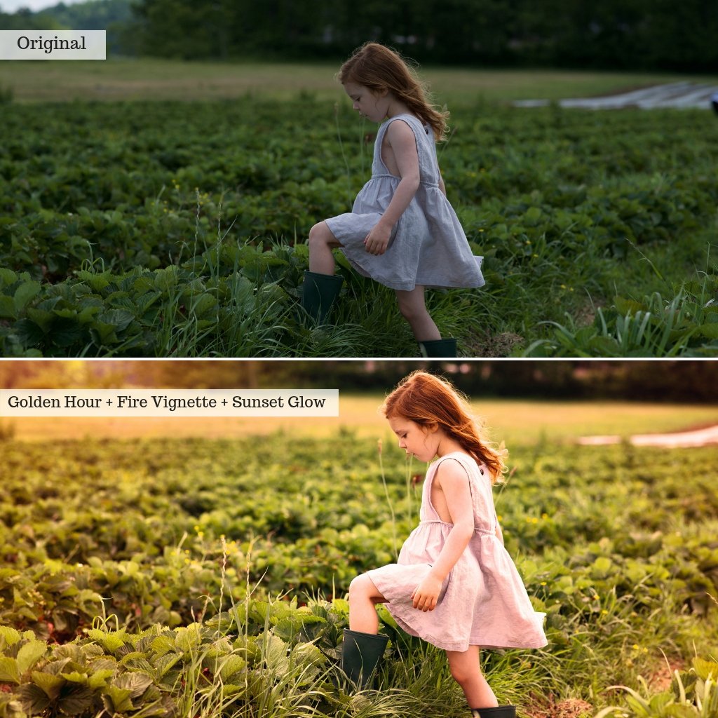 Apple Orchards Autumn Photoshop Actions