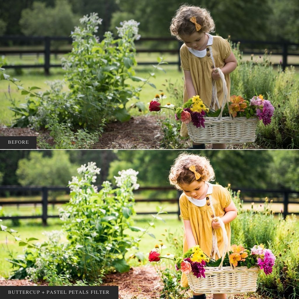 ColorMade Lightroom Preset Bundle (13 collections)