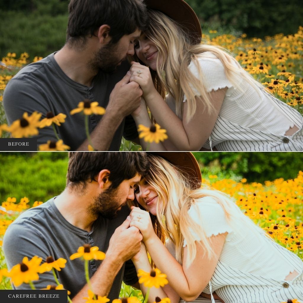 ColorMade Lightroom Preset Bundle (13 collections)