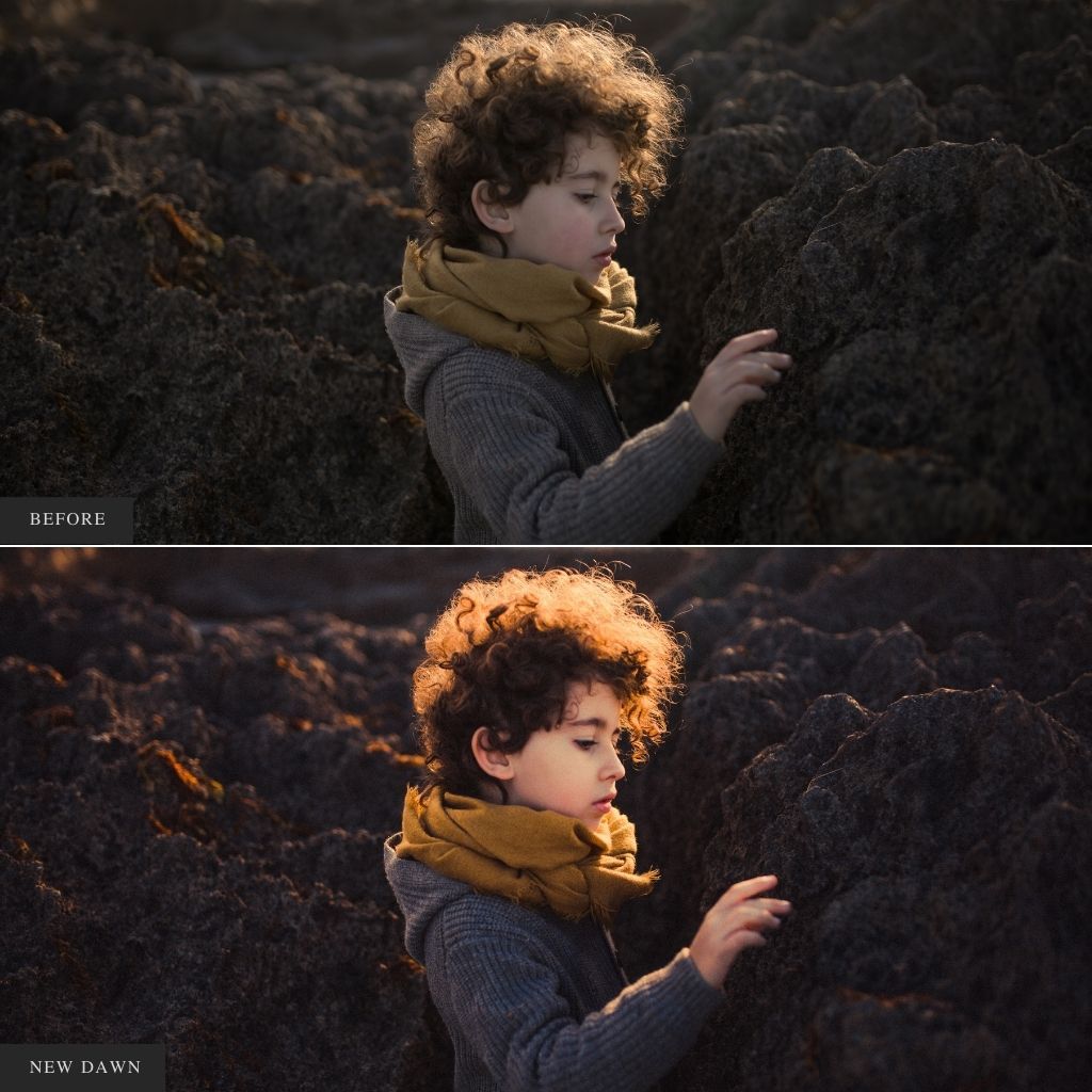 ColorMade Lightroom Preset Bundle (13 collections)