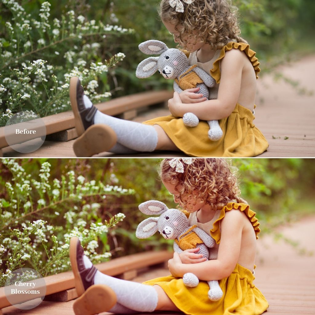 2025 Everything, Entire Store Lightroom Preset Bundle (98 Collections!)