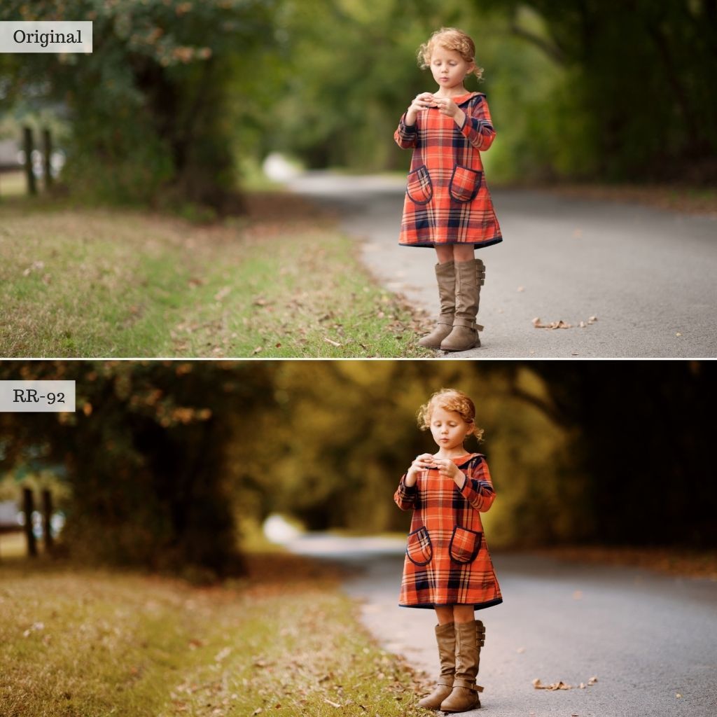 Luxe LUTs Bundle (8 Collections) – Desktop & Mobile