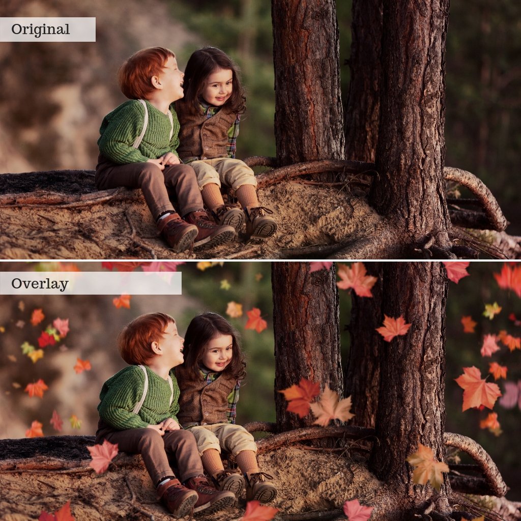 Leaf Overlays – Photoshop & More