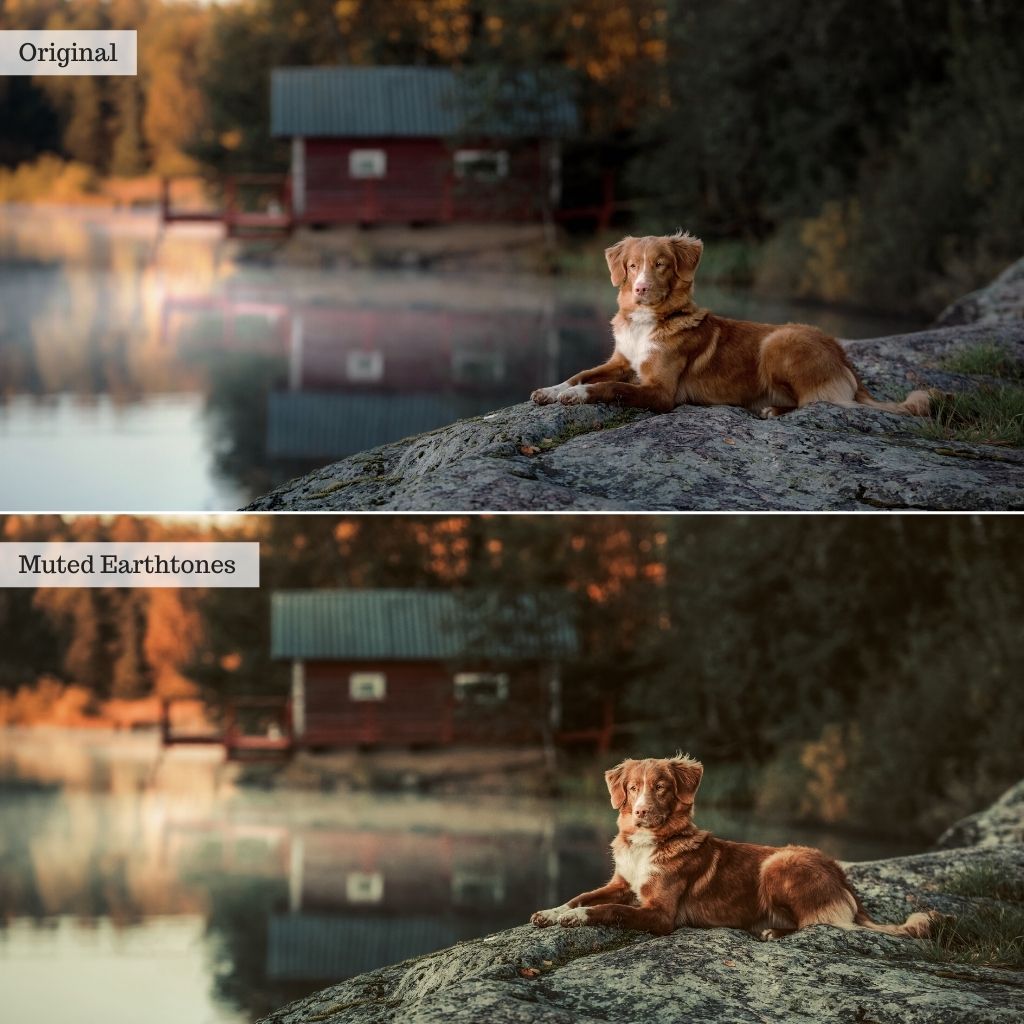 Muted Earthtones Instagram Presets for Lightroom Mobile & Desktop