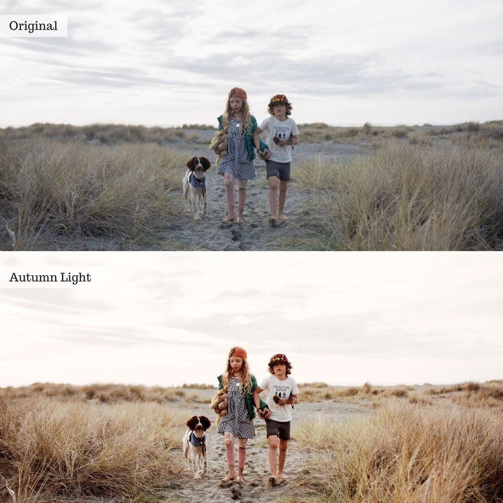 Earthstone Film LUTs & Lightroom Profiles – Desktop & Mobile