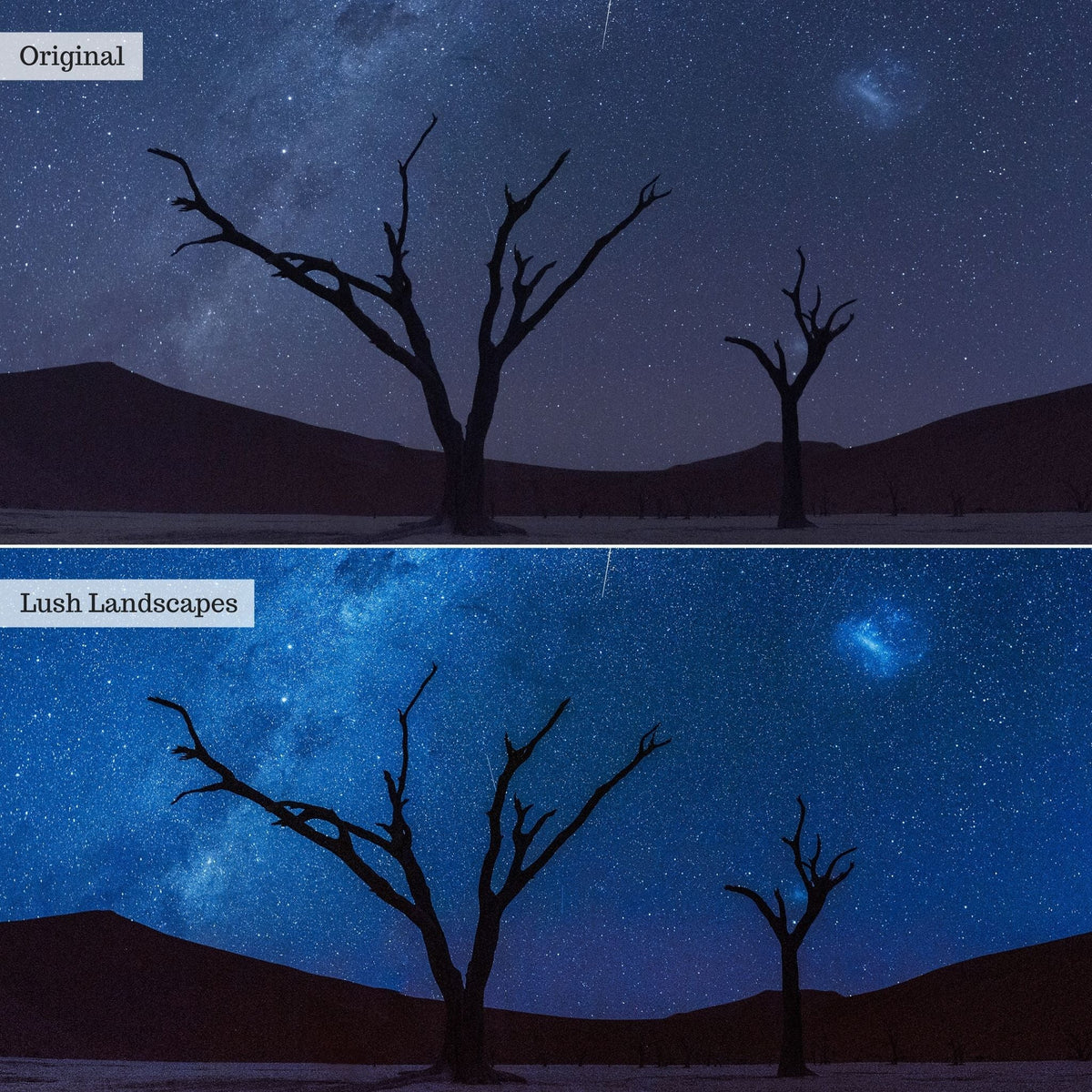 Lush Landscapes Instagram Presets for Lightroom Mobile & Desktop