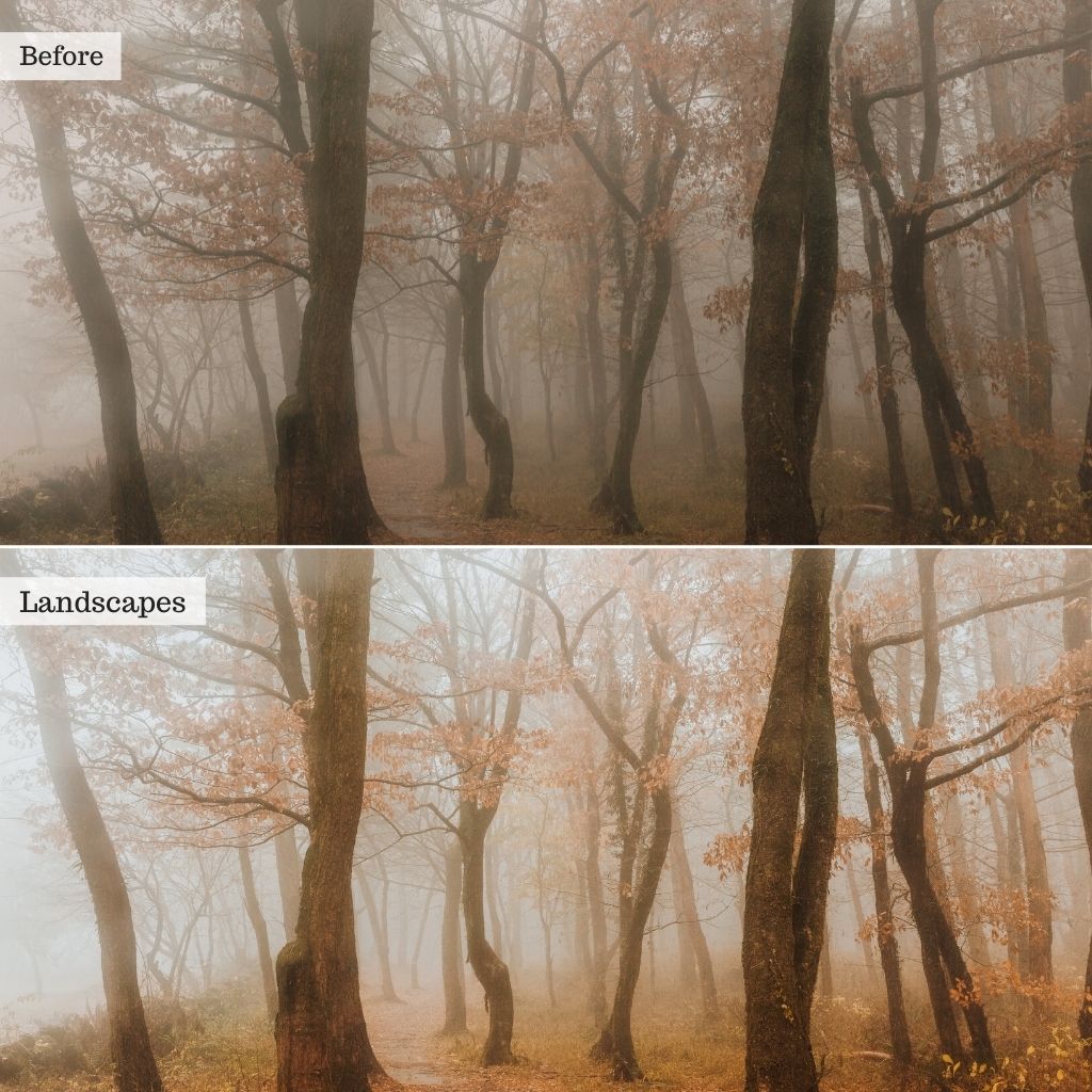 Landscapes Instagram Presets for Lightroom Mobile & Desktop