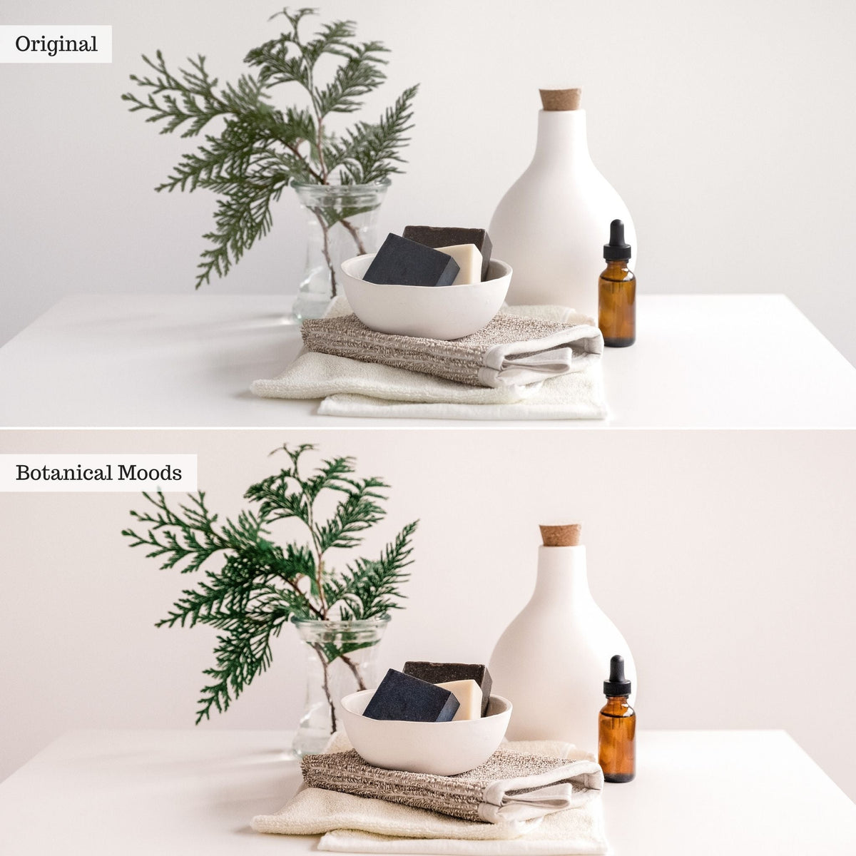 Botanical Moods Instagram Presets for Lightroom Mobile & Desktop