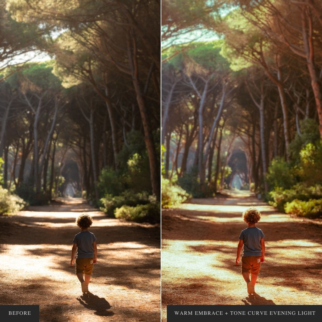 ColorMade Lightroom Preset Bundle (13 collections)