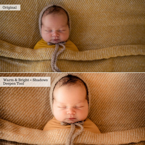 2026 Everything, Entire Store Lightroom Preset Bundle (89 Collections!)