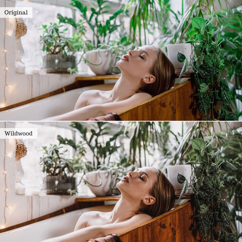 Wildwood Instagram Presets for Lightroom Mobile & Desktop