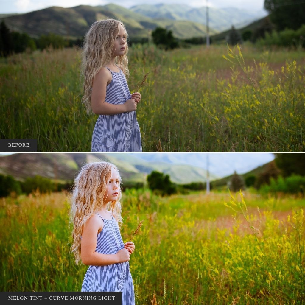 ColorMade Lightroom Preset Bundle (13 collections)