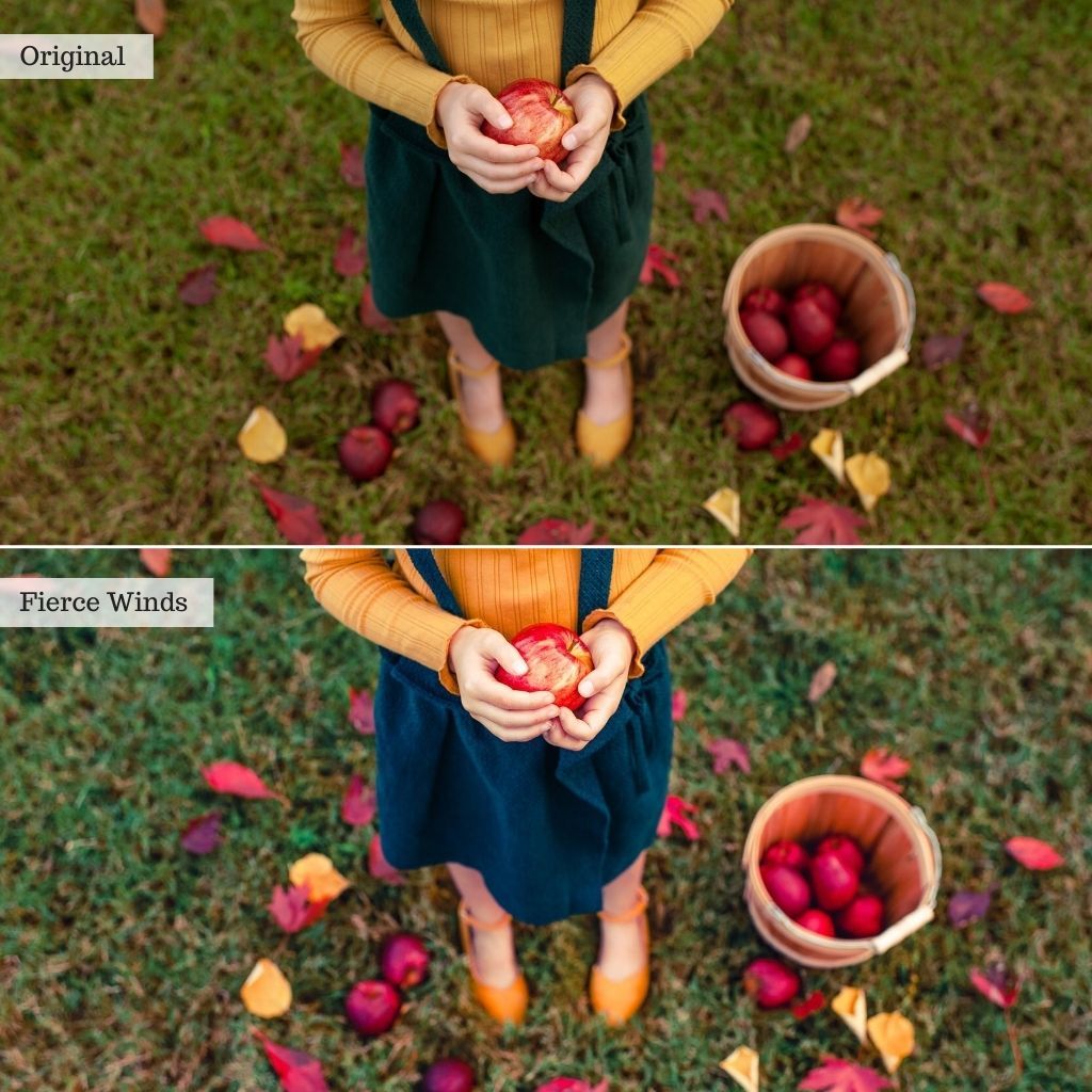Sip of Cider - Autumn Lightroom Presets – Desktop & Mobile