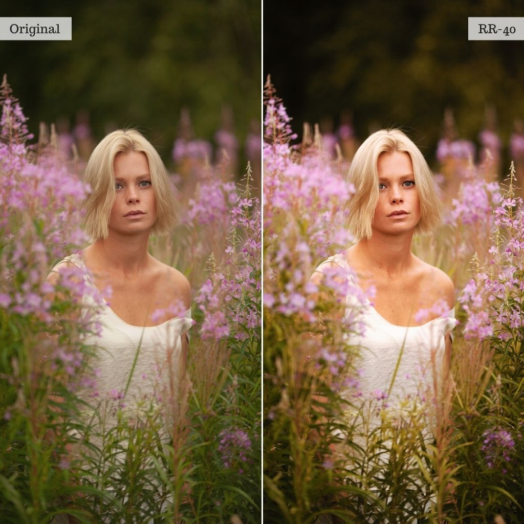 Rich & Radiant LUTs & Lightroom Profiles – Desktop & Mobile