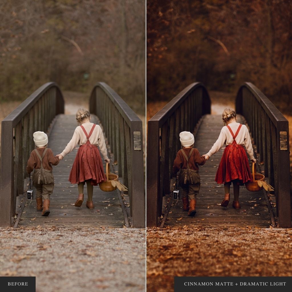 ColorMade Lightroom Preset Bundle (13 collections)