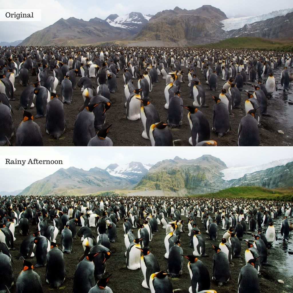 Cinematic Film LUTs & Lightroom Profiles – Desktop & Mobile