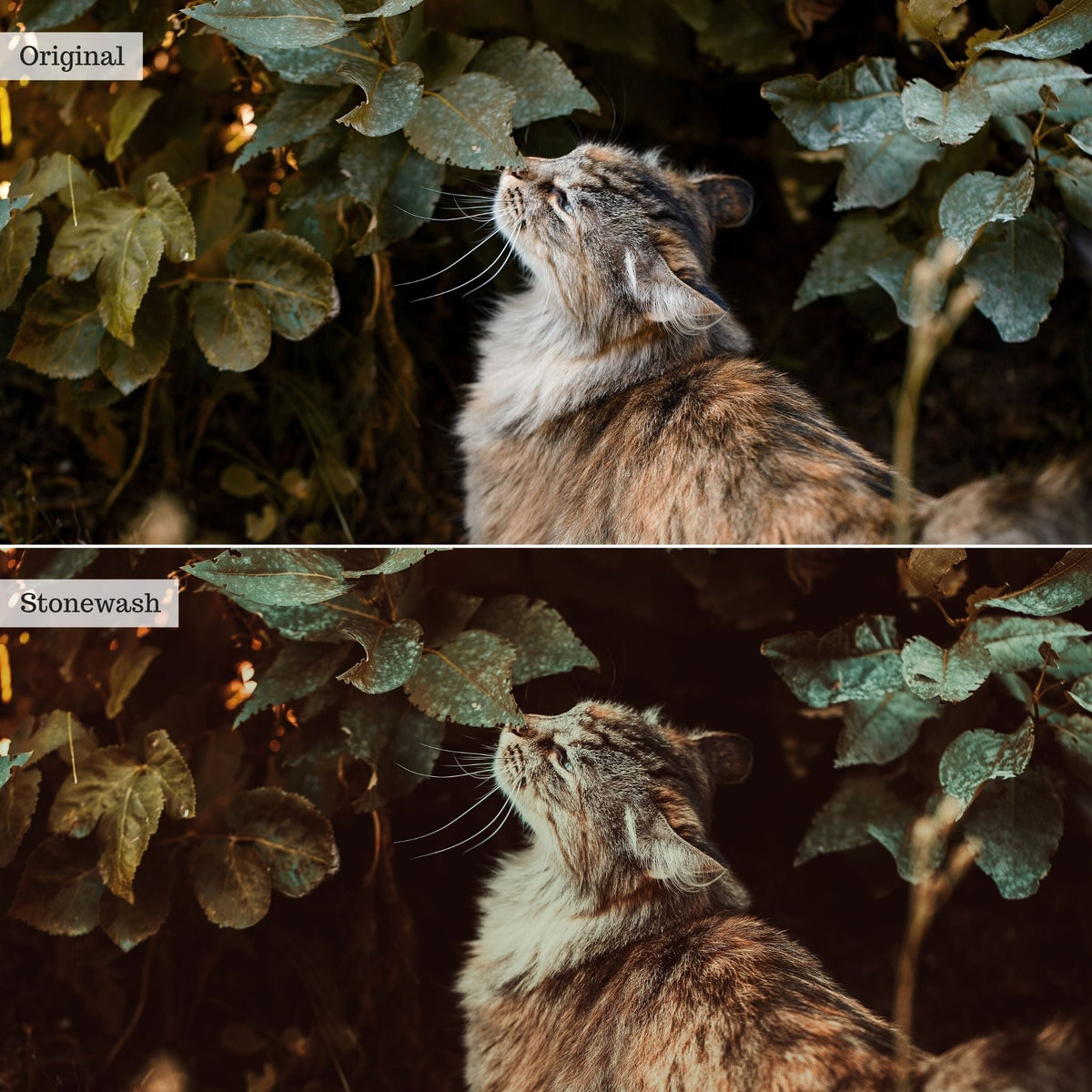 Stonewash Instagram Presets for Lightroom Mobile & Desktop