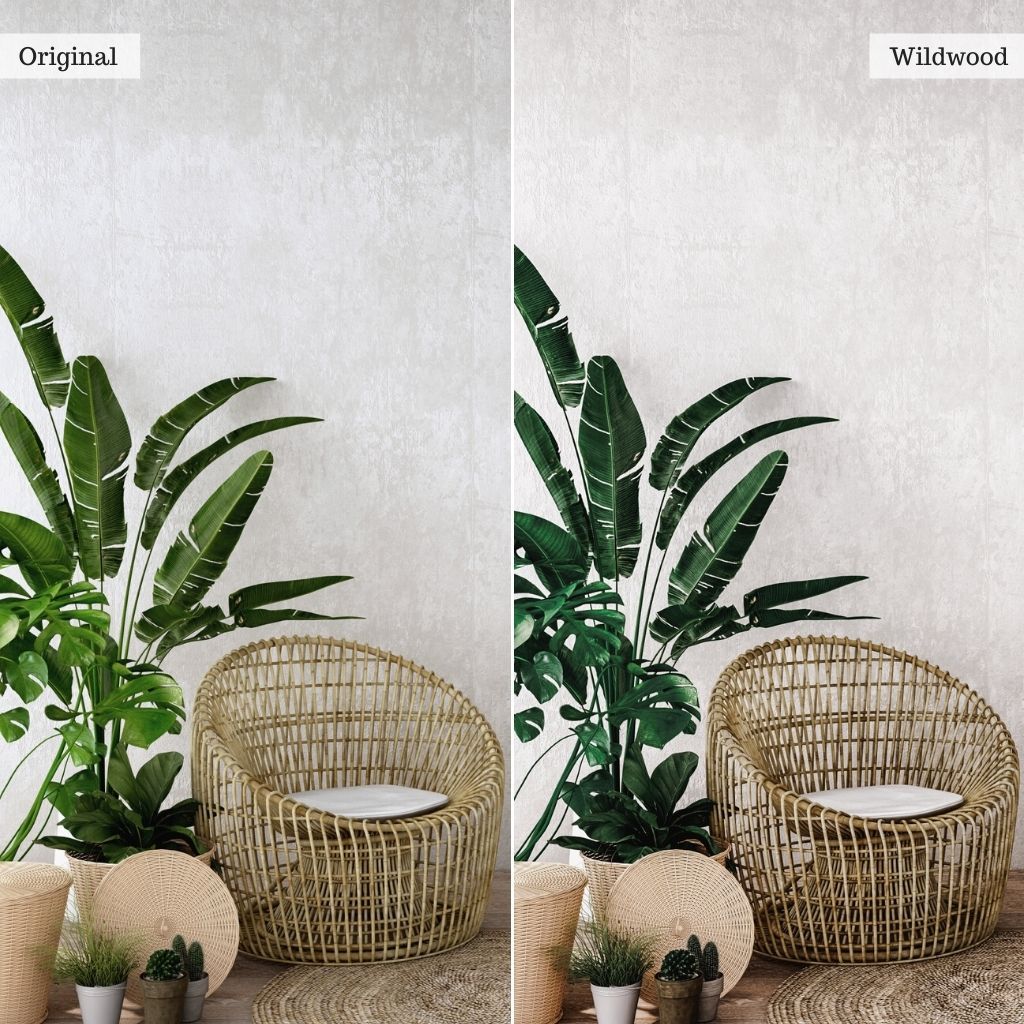Wildwood Instagram Presets for Lightroom Mobile & Desktop