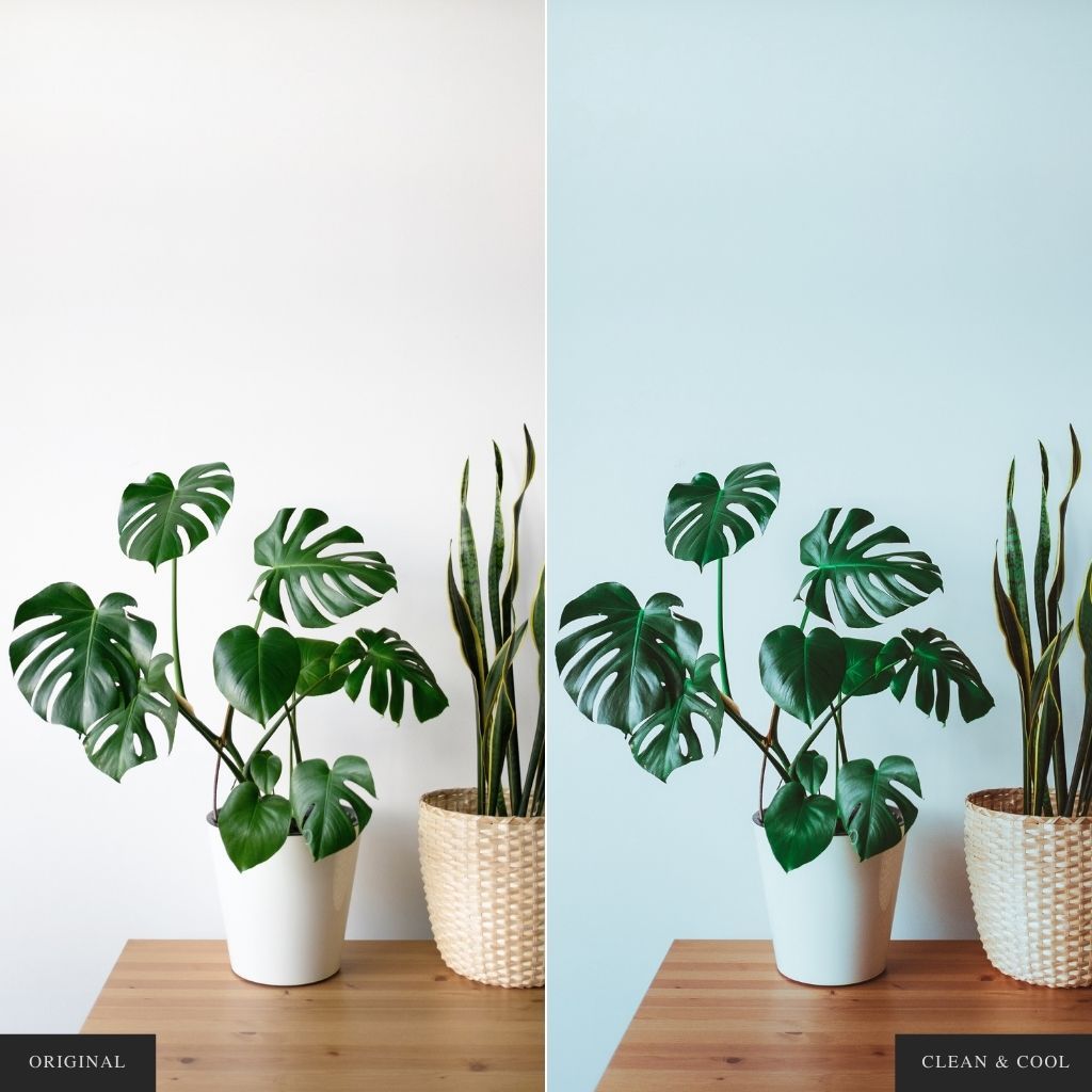 Clean & Cool Instagram Presets for Lightroom Mobile & Desktop