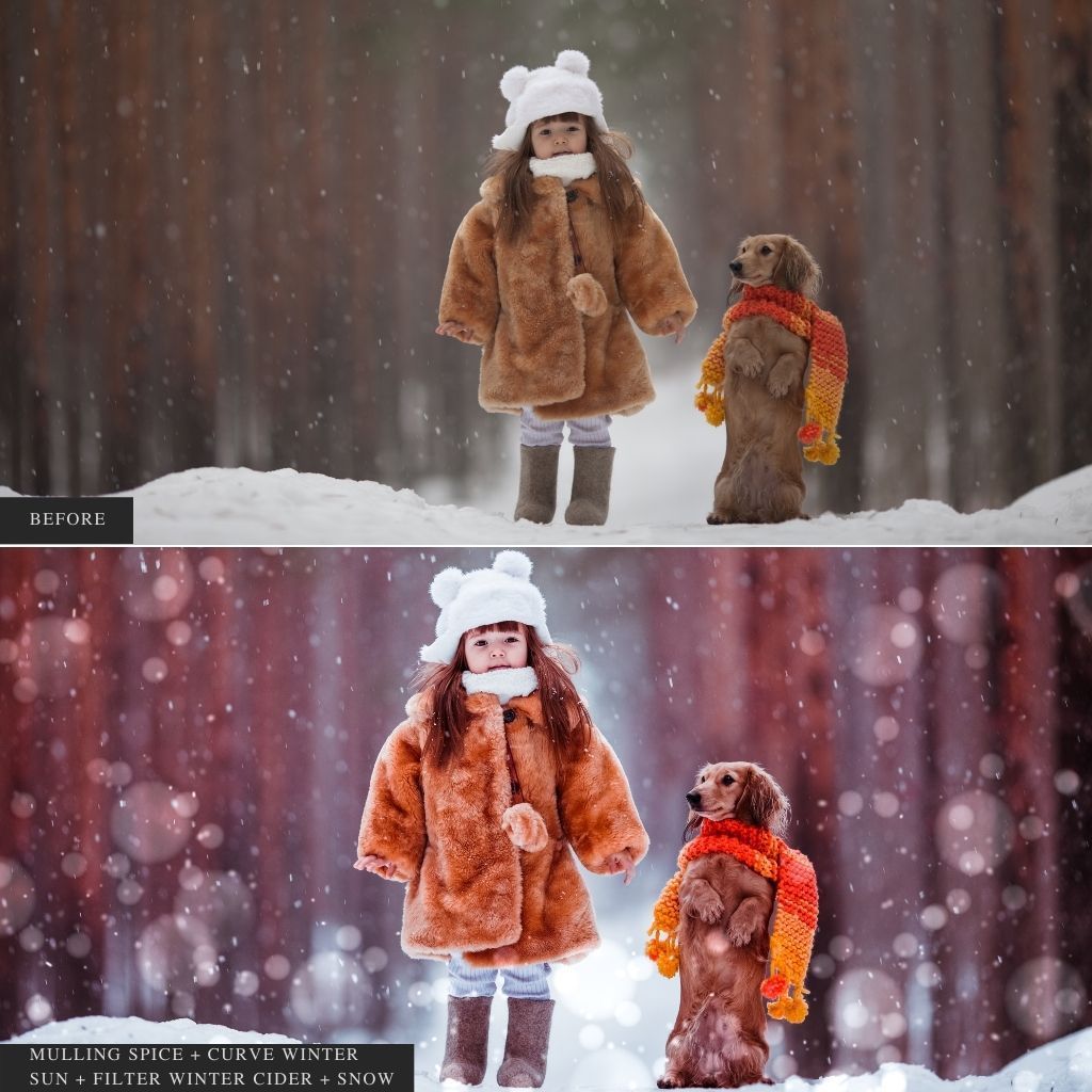 ColorMade Lightroom Preset Bundle (13 collections)