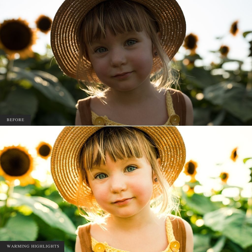 ColorMade Lightroom Preset Bundle (13 collections)