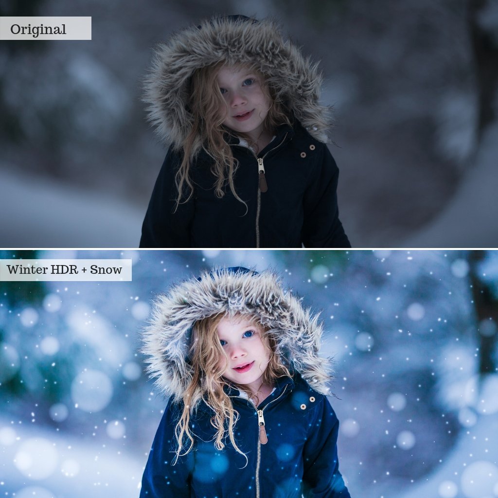 2025 Everything, Entire Store Lightroom Preset Bundle (98 Collections!)