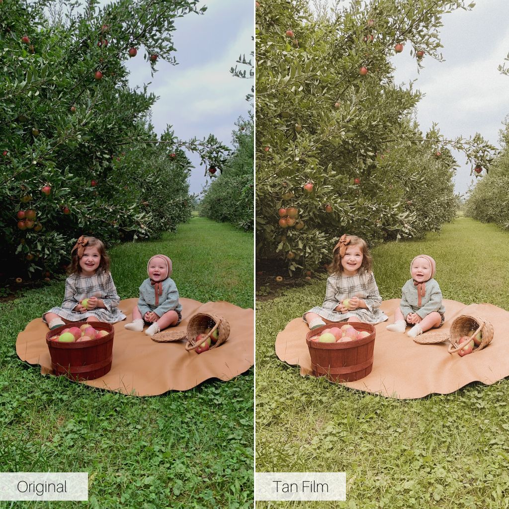 Light & Airy Creams Lightroom Presets – Desktop & Mobile