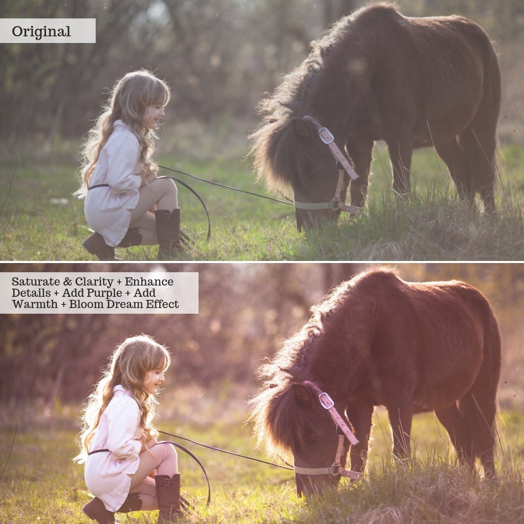 Luxe Local Adjustment Brush Collection for Lightroom Classic (Desktop ONLY)