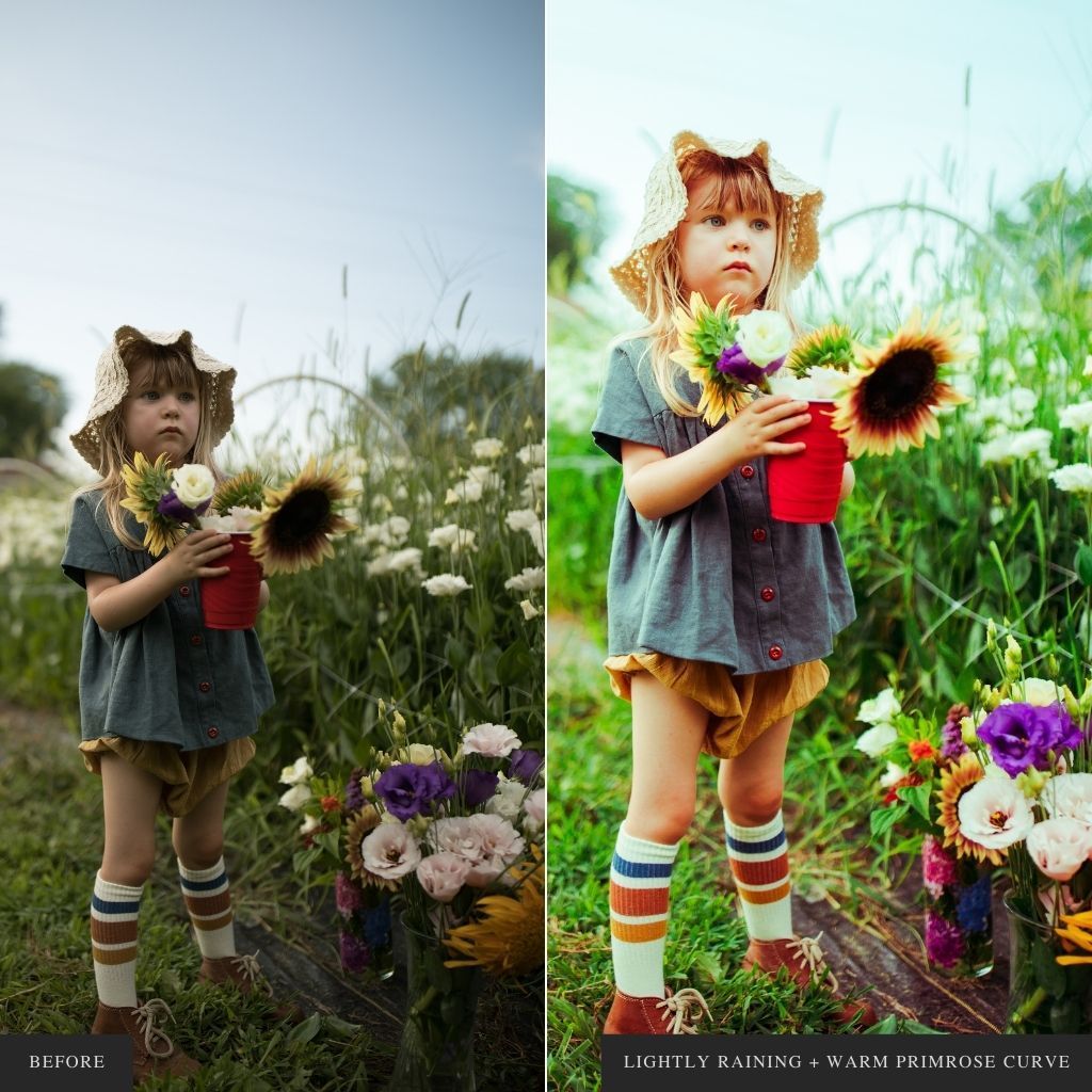 ColorMade Lightroom Preset Bundle (13 collections)