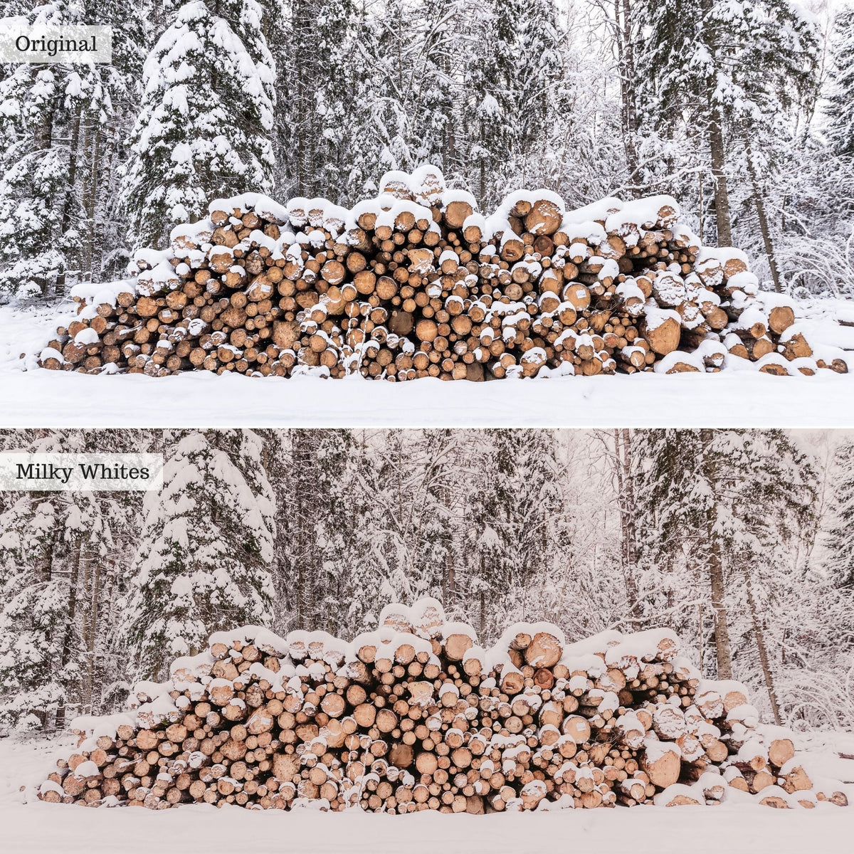 Milky Whites Instagram Presets for Lightroom Mobile & Desktop