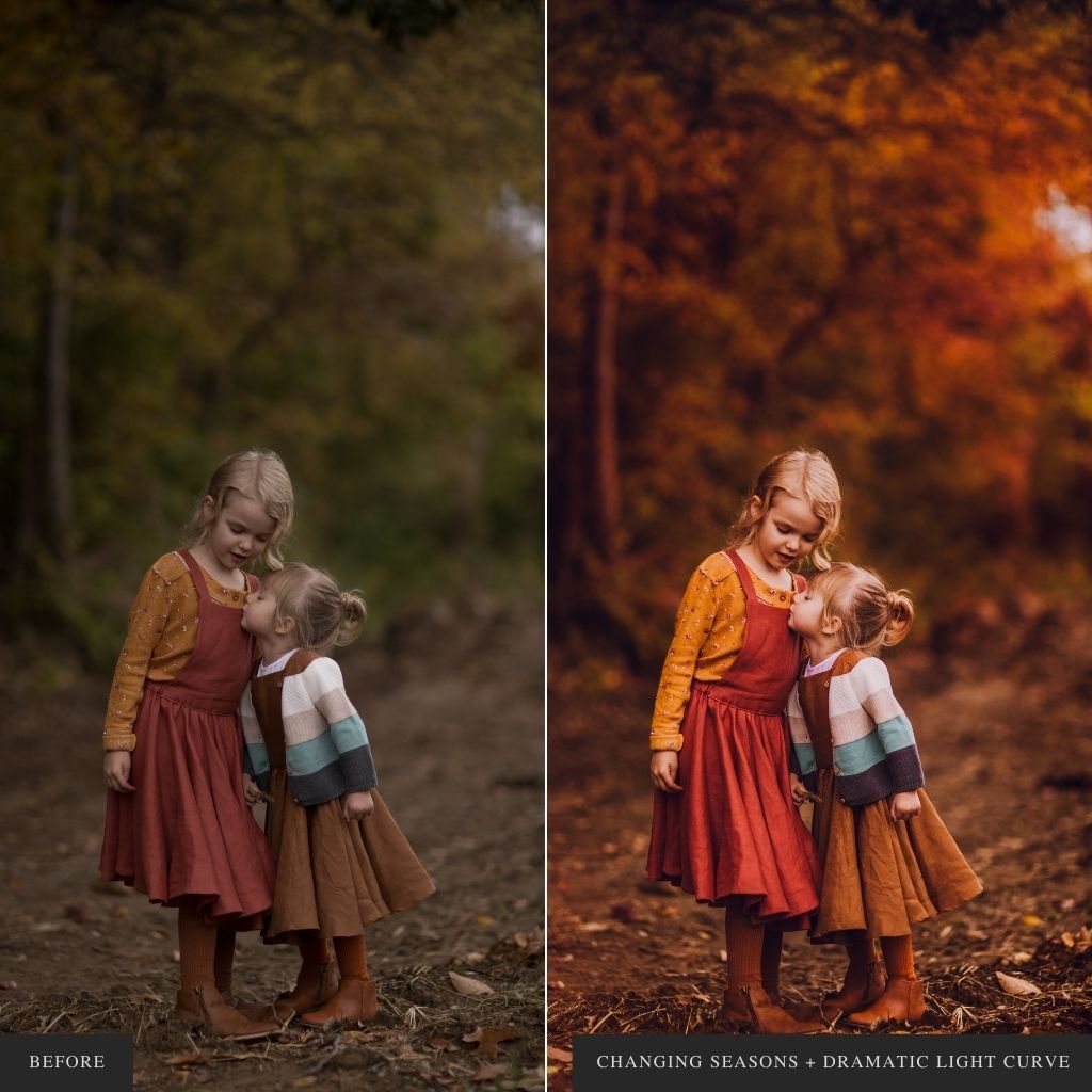 ColorMade Lightroom Preset Bundle (13 collections)