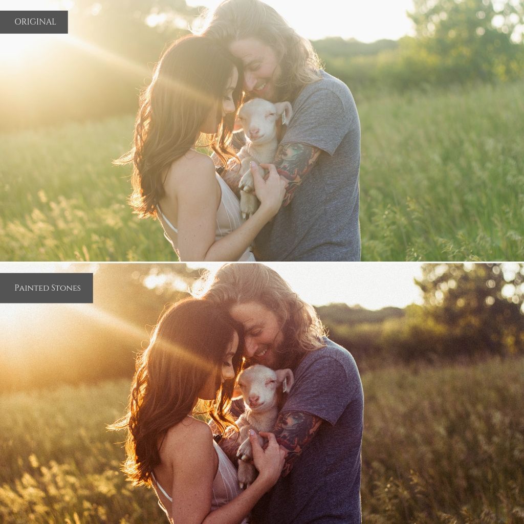 Brixton Film Preset Bundle (12 collections) for Lightroom & Photoshop