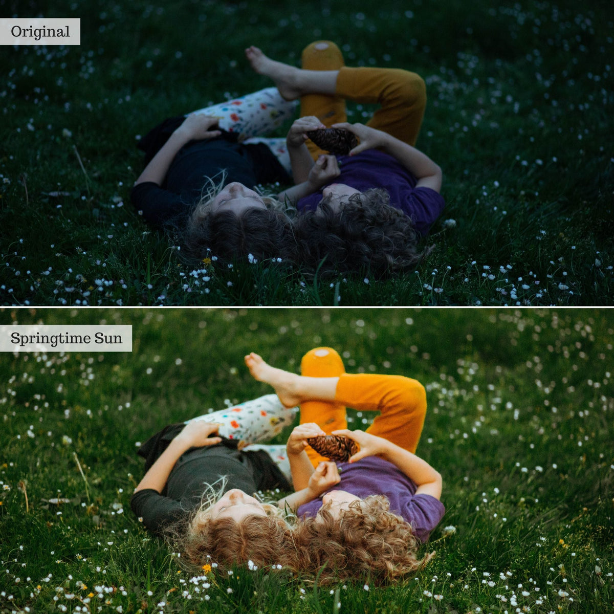 Clover n' Honey Spring & Summer Lightroom Presets – Desktop & Mobile