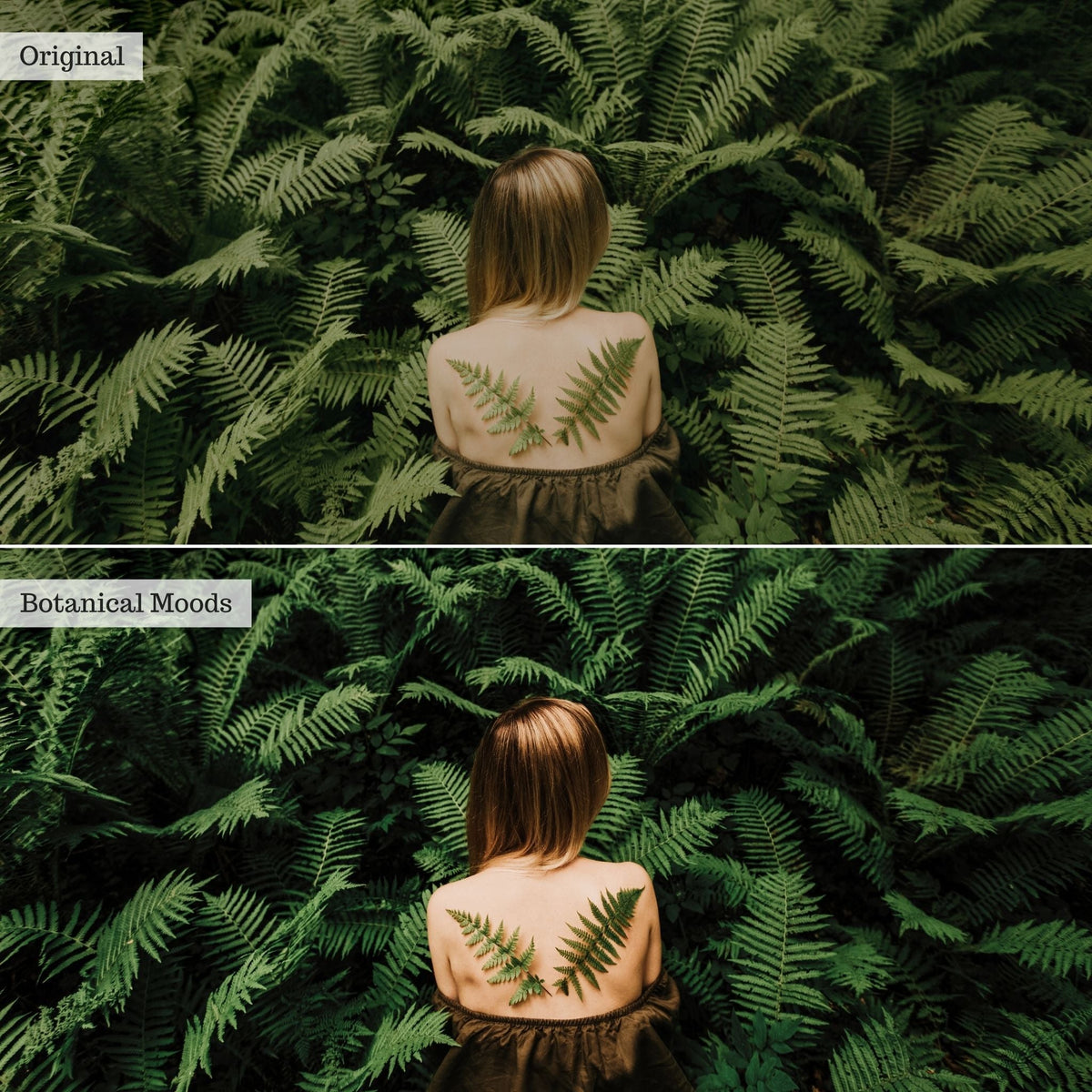 Botanical Moods Instagram Presets for Lightroom Mobile & Desktop