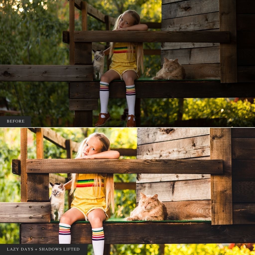 ColorMade Lightroom Preset Bundle (13 collections)