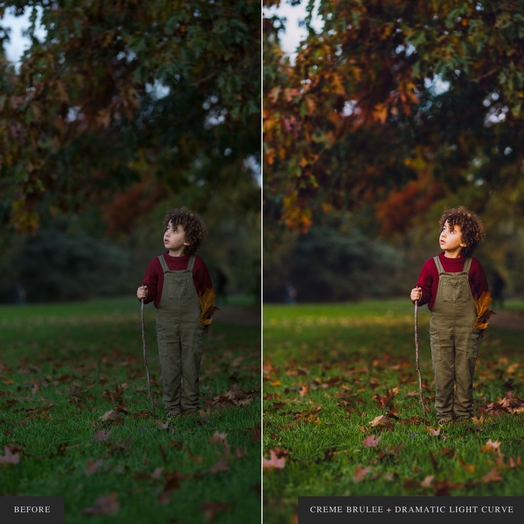 ColorMade Lightroom Preset Bundle (13 collections)