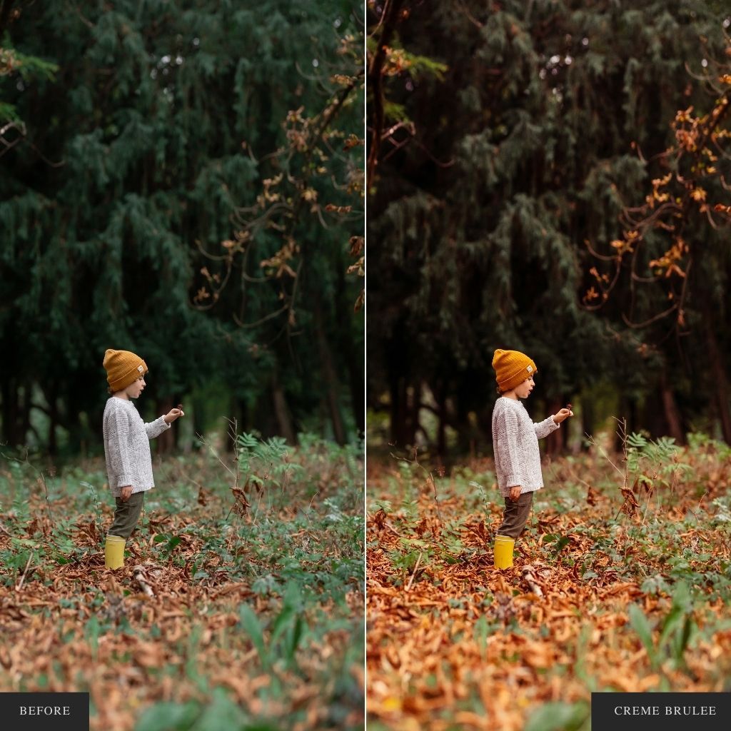 ColorMade Lightroom Preset Bundle (13 collections)