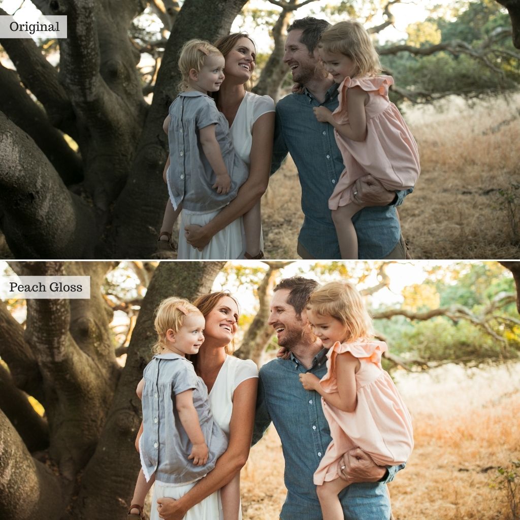 Luxe Portraits Lightroom Presets & AI Tools v2.0 – Desktop & Mobile