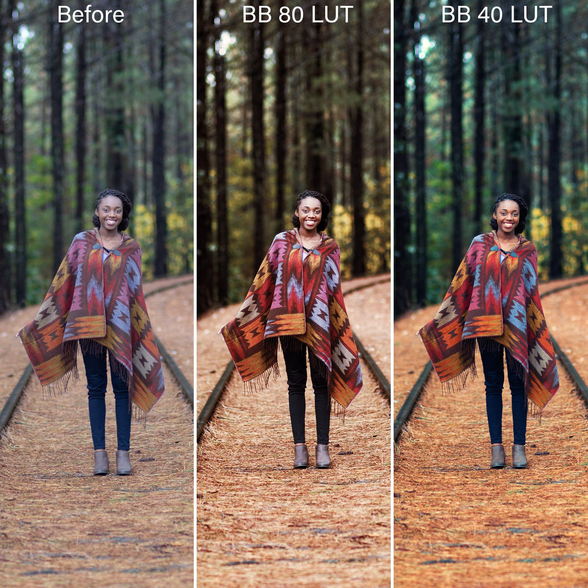 Bold & Bohemian Film LUTs & Lightroom Profiles – Desktop & Mobile