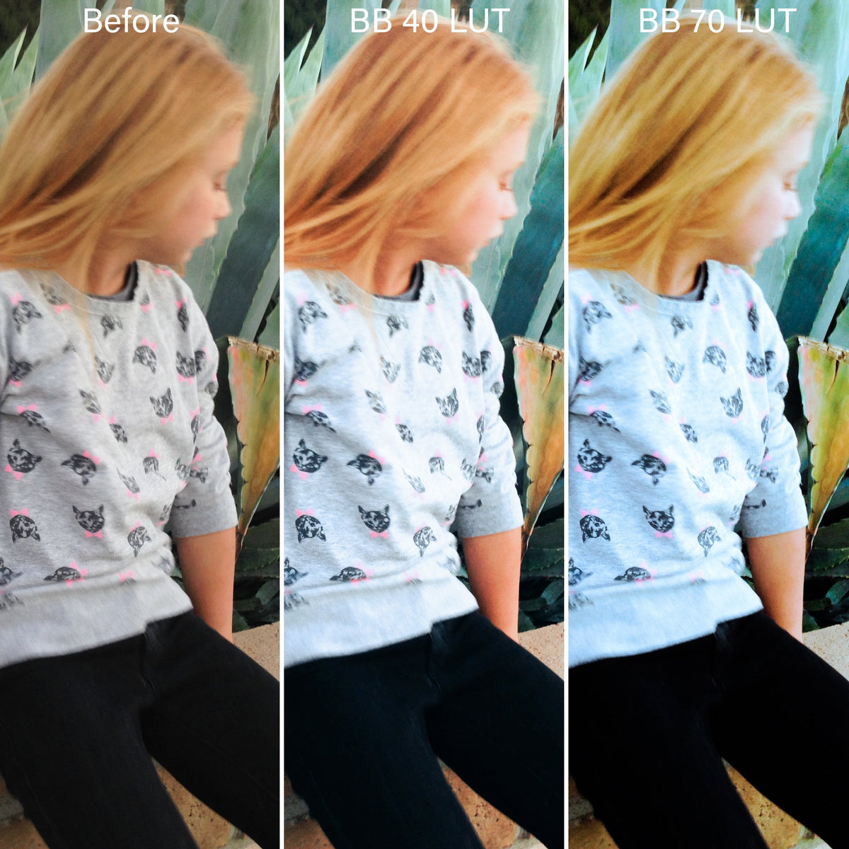 Bold & Bohemian Film LUTs & Lightroom Profiles – Desktop & Mobile