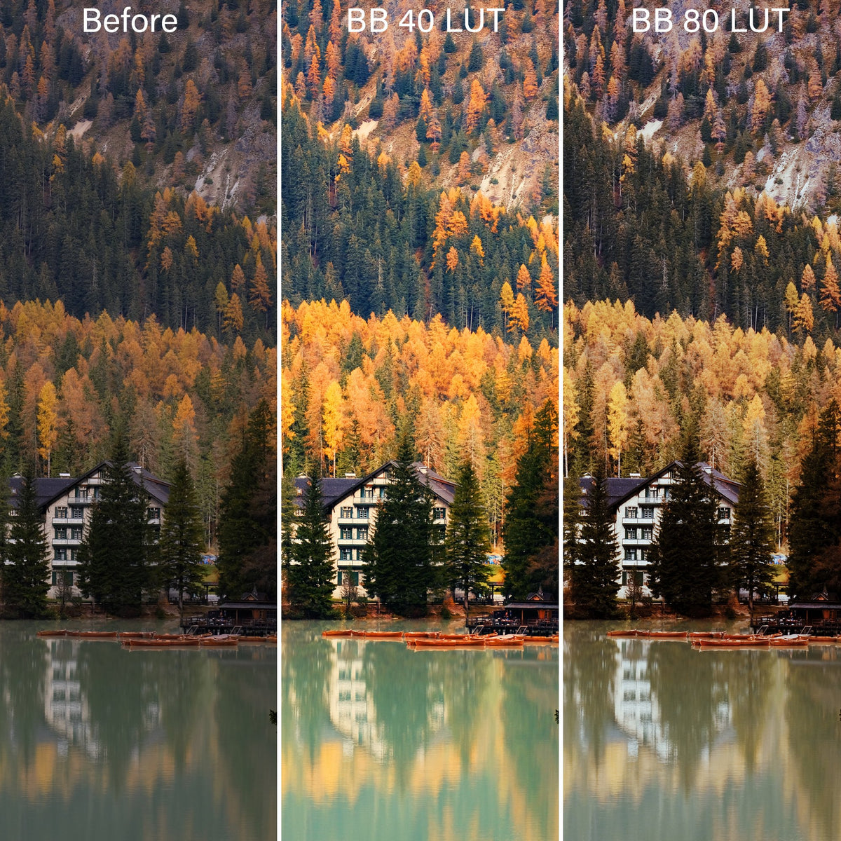 Bold & Bohemian Film LUTs & Lightroom Profiles – Desktop & Mobile