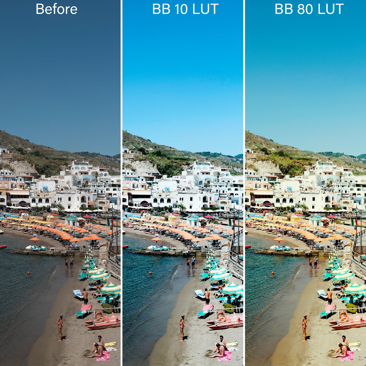 Bold & Bohemian Film LUTs & Lightroom Profiles – Desktop & Mobile