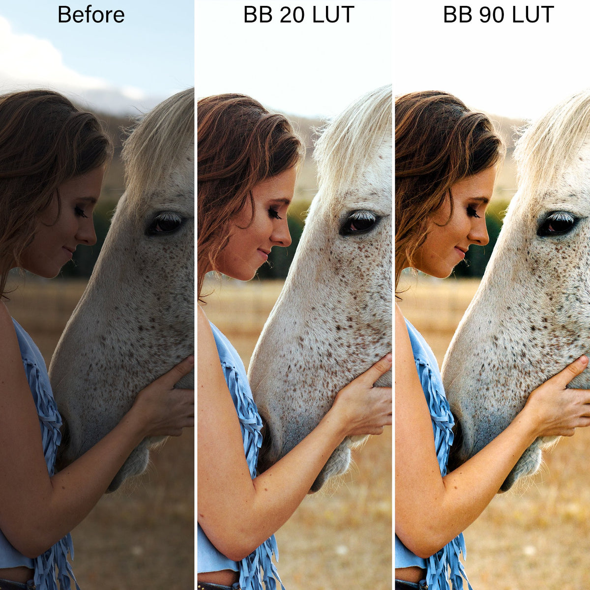 Bold & Bohemian Film LUTs & Lightroom Profiles – Desktop & Mobile