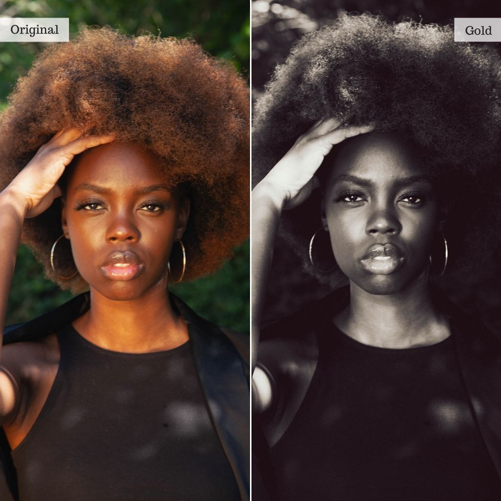 Brixton Film Preset Bundle (12 collections) for Lightroom & Photoshop