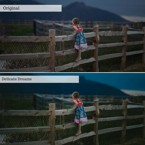 2026 Everything, Entire Store Lightroom Preset Bundle (89 Collections!)